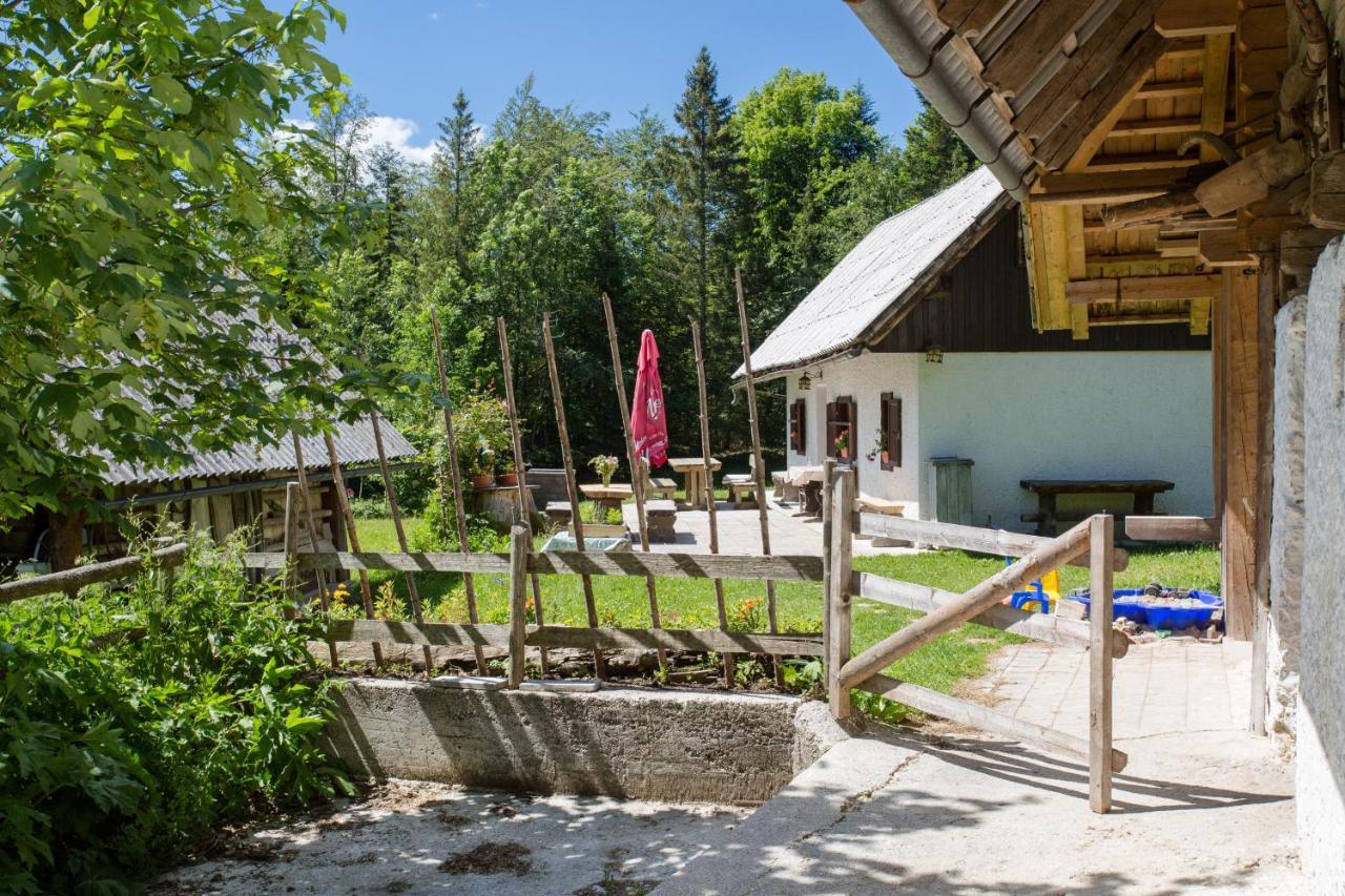 Mountain House Minka Villa Srednja Vas v Bohinju Exterior photo