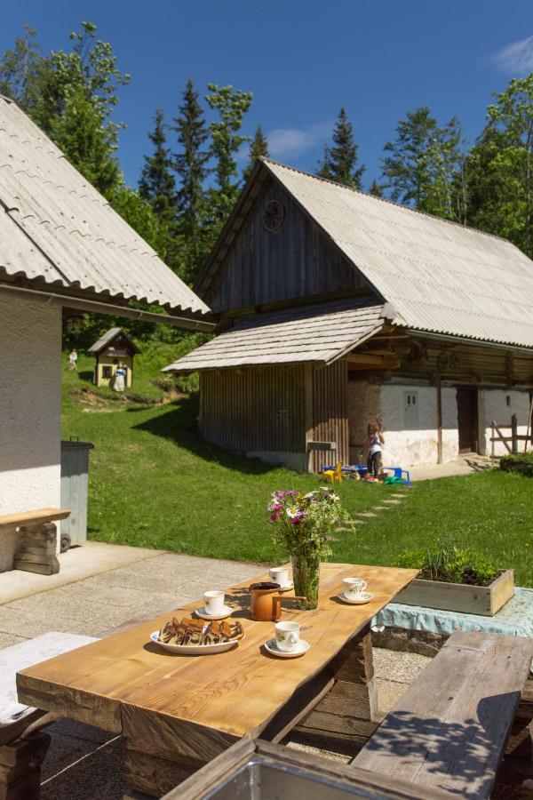 Mountain House Minka Villa Srednja Vas v Bohinju Exterior photo